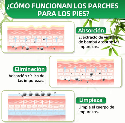Parches Bambu Kinoki Detox